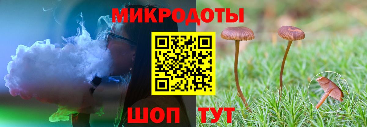 Кисловодск  Псилоцибиновые грибы Psilocybine cubensis  Вход с VPN  Галлюциногенные грибы ЛСД 